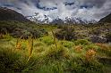 073 Mount Cook NP